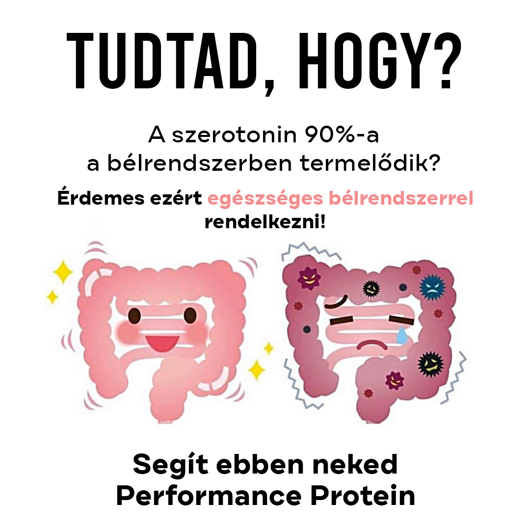 zdrave-strevo infografika brainmarket hu